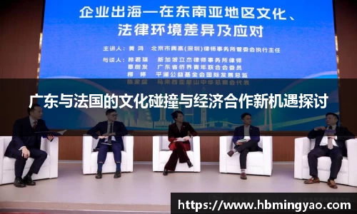 广东与法国的文化碰撞与经济合作新机遇探讨